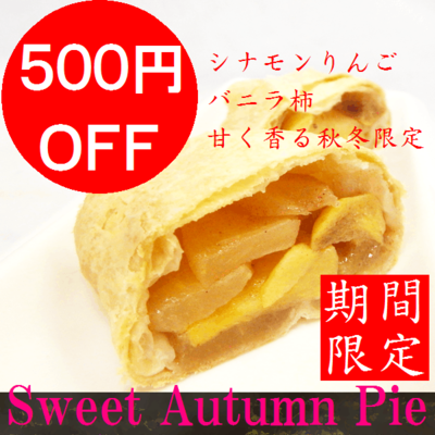 500円割引クーポン! 500円割引クーポン!