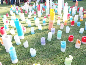 生駒高原 コスモス祭り 生駒高原 コスモス祭り