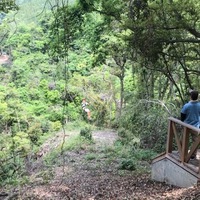 垂水 財宝パーク猿ヶ城