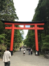 鹿児島観光 2日目 霧島神宮