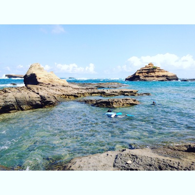 種子島 種子島