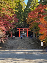 霧島神宮へ御礼参りへ・・・