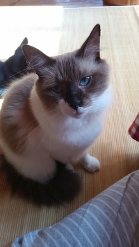 熱い視線