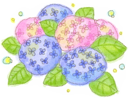 kirariさんの作品。* kirariさんの作品。*