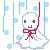 明日はオープン日です。* 明日はオープン日です。*