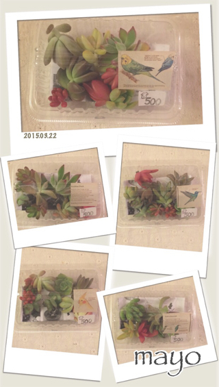 Favori*マルシェ・本日出店します。* Favori*マルシェ・本日出店します。*