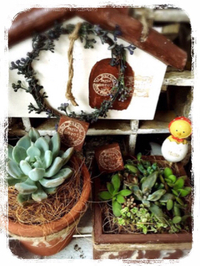 ＣｉａｏＧａｒｄｅｎ・よっち。 2015/06/16 22:45:47