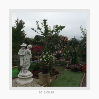 バラ園でイベントします。* バラ園でイベントします。*