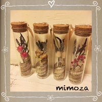 ひっ飛べ！バンバン作品・ｍｉｍｏｚａさん。＊ 2016/12/17 13:51:06