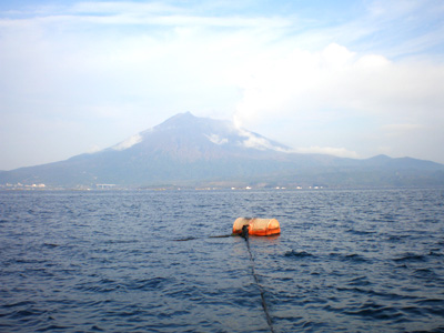 桜島が見えます