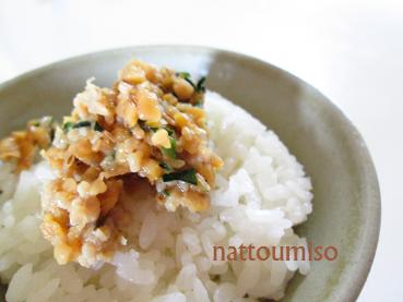 納豆みそ