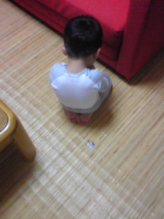 ミニはんこいっぱい