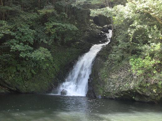 奄美の旅