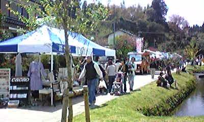丸池イベント