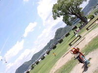 *公園とお茶と*