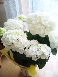 2011年05月10日