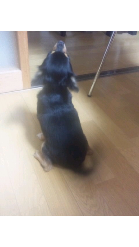 癒し