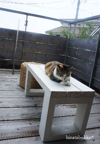 *休日*