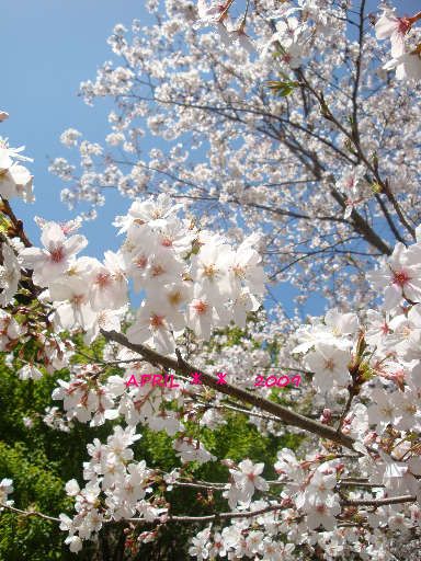 4月