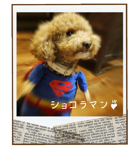 明日はオープン日です。*