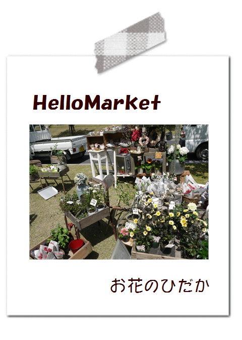 本日、お休みです。*