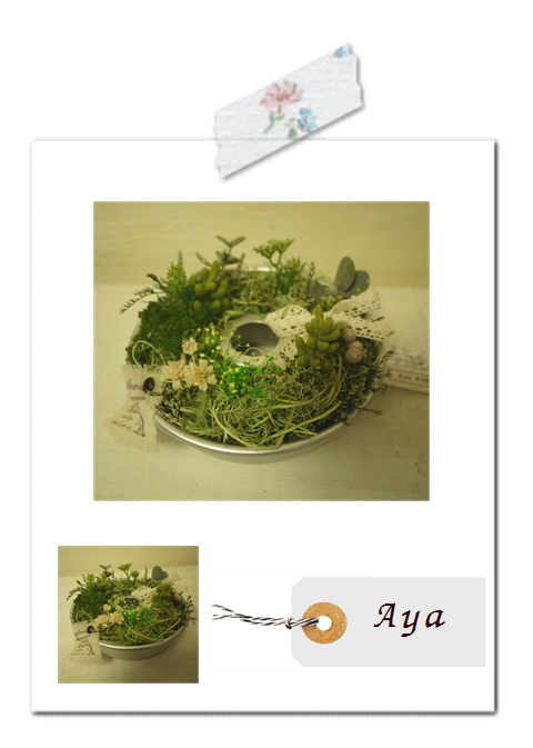 ドルフィン作品・Ayaさん。*
