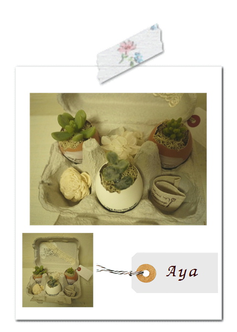 ドルフィン作品・Ayaさん。*