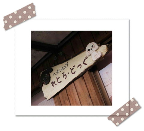 フライヤー設置店さま。*