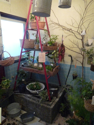 ドミって雑貨屋さん巡り~。*