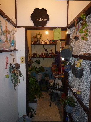 ドミって雑貨屋さん巡り~。*