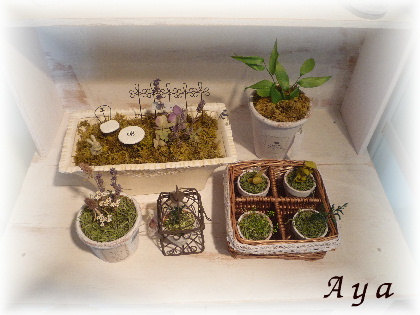 Ayaさんの作品。*
