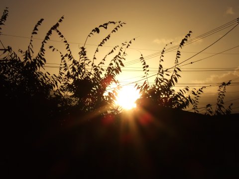 朝日