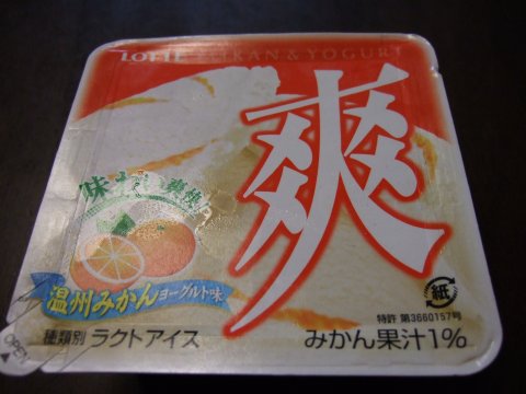今日のアイスクリーム