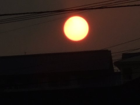 今日の夕日