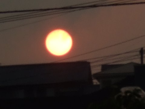 今日の夕日