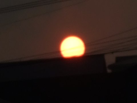 今日の夕日