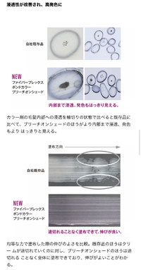 ニューカラー