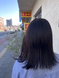 カシスブラウン