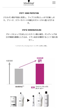 ニューカラー