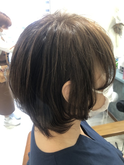 ウルフショート