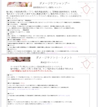 オリジナルシャンプートリートメント オリジナルシャンプートリートメント