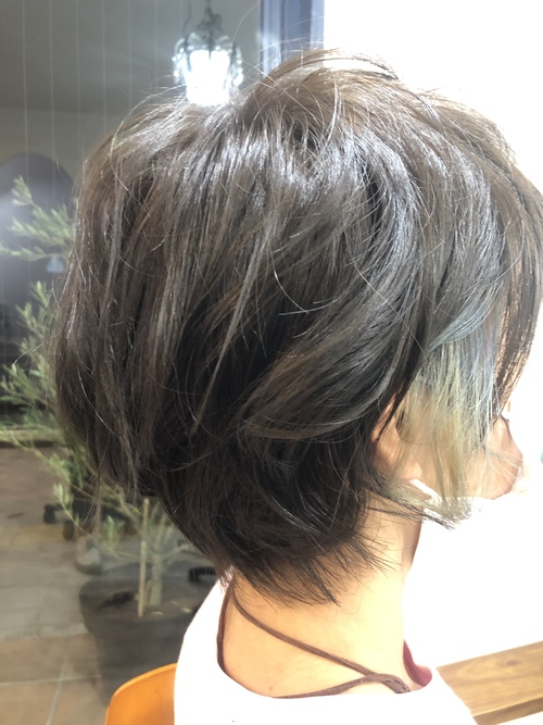 11月13日の記事