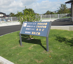 「ひなたの家」看板　