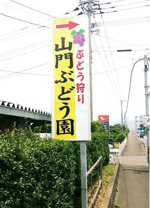 ぶどうのおいしい季節! ぶどうのおいしい季節!