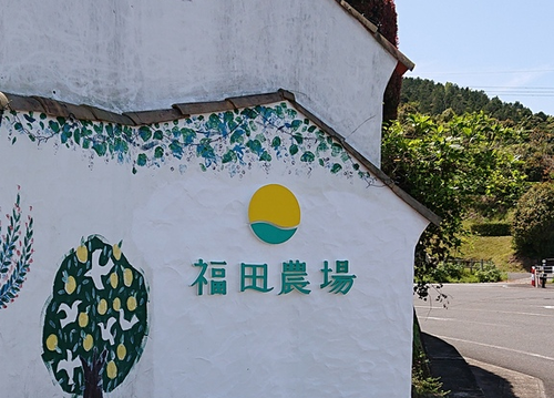✨福田農場さん✨