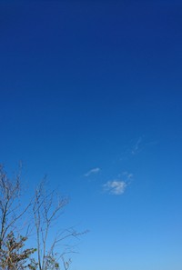 やる気・集中力の色彩心理 2020/03/16 13:34:01