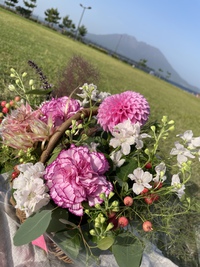 お花と桜島 2021/05/30 23:13:50
