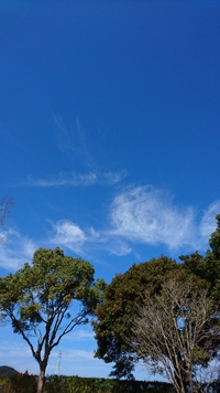天気がいいと♪ 2019/02/12 13:09:01