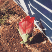 結局…(*T_T*)  2016/03/07 13:30:19