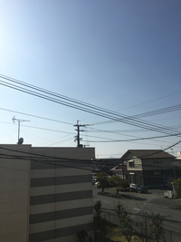 いい天気で… 2016/12/10 11:25:31